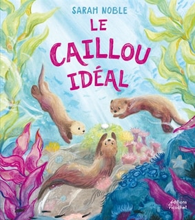 Couverture_Le caillou idéal