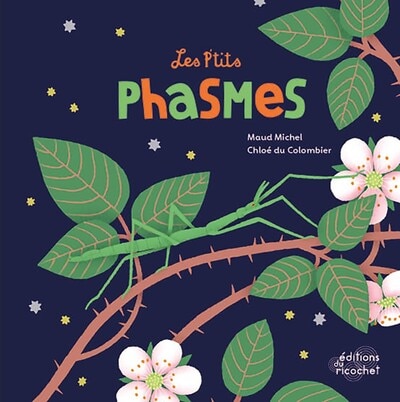 Front cover_Les p'tits phasmes