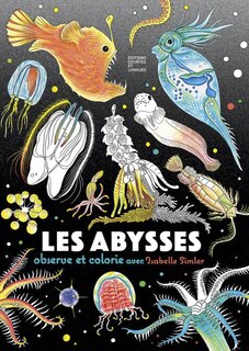 Front cover_Abysses (Les)