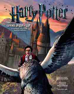 Harry Potter un livre pop-up by Bruce Foster