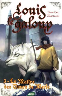 Couverture_Le ma&icirc;tre des tours de Merle