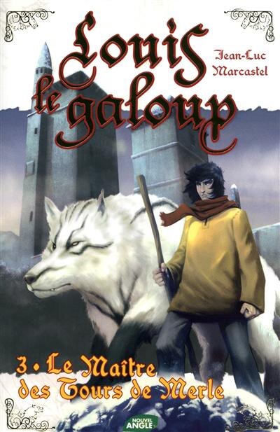 Couverture_Le ma&icirc;tre des tours de Merle