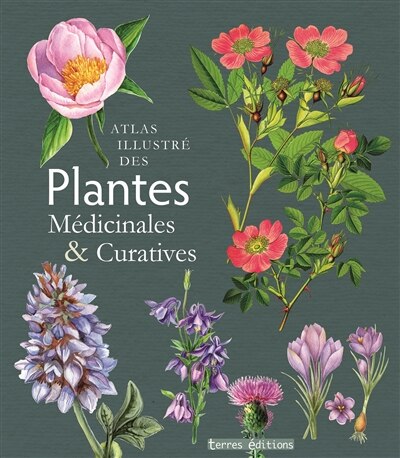 Front cover_Atlas illustré des plantes médicinales & curatives
