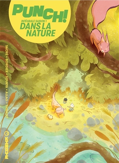 Couverture_Punch !