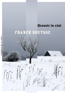 Couverture_GROSSIR LE CIEL