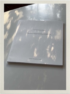 Front cover_Cerith Wyn Evans : lueurs empruntées à Metz