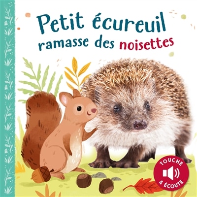 Couverture_Petit Ecureuil ramasse des noisettes