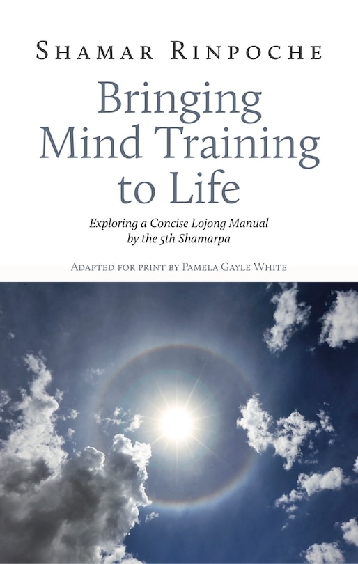 Front cover_Bringing Mind Training To Life