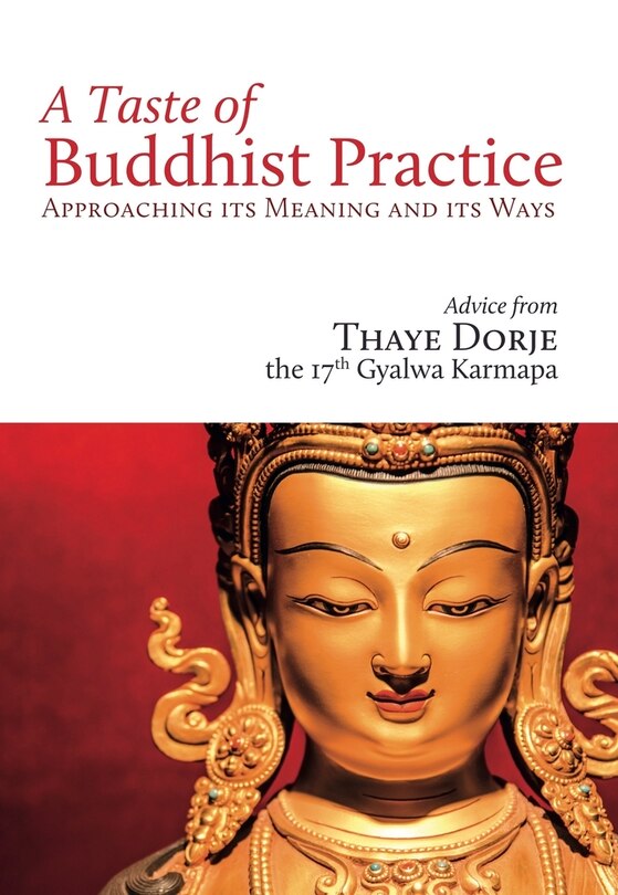 Couverture_A Taste Of Buddhist Practice