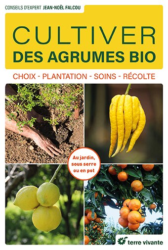 Couverture_Cultiver des agrumes bio