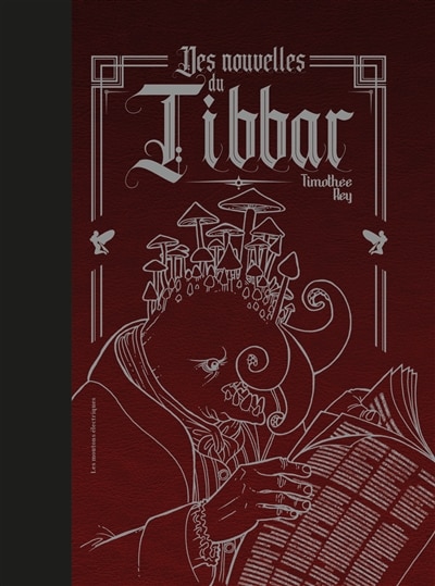 Front cover_Des Nouvelles Du Tibbar