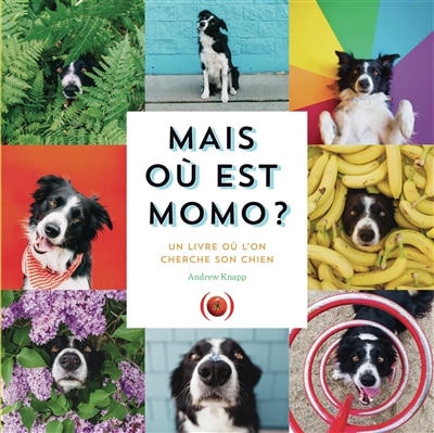 Front cover_Mais où est Momo ?. Un livre où l'on cherche son chien