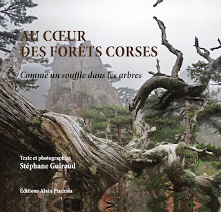 Au coeur des forêts corses: comme un souffle dans les arbres