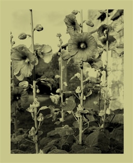 Couverture_Une infime distance