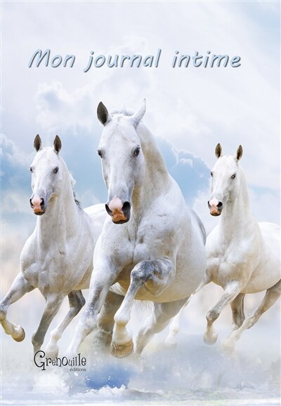 Couverture_Mon journal intime