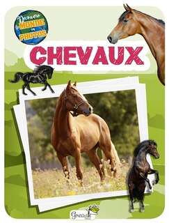 Front cover_Chevaux