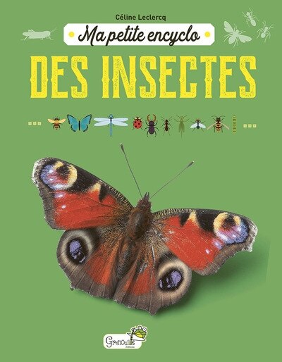 Front cover_Ma petite encyclo des insectes