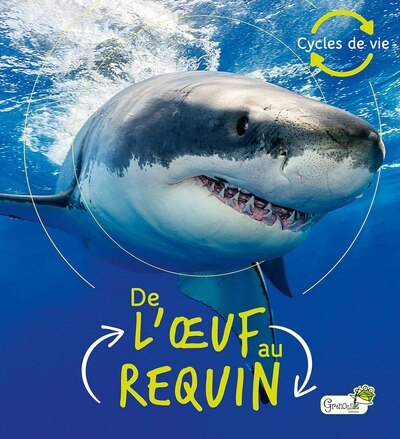 Couverture_De l'oeuf au requin