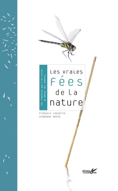 Les vraies fées de la nature: ces créatures que l'on croise au détour des chemins...