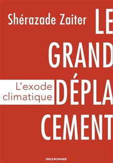 Couverture_Le grand d&eacute;placement