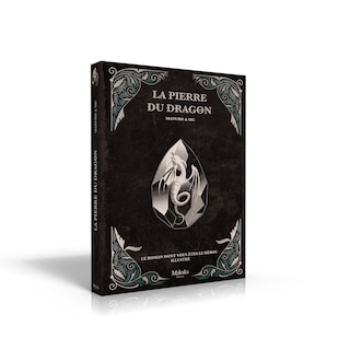Couverture_La pierre du dragon