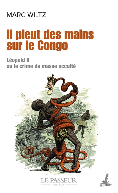 Couverture_Il pleut des mains sur le Congo