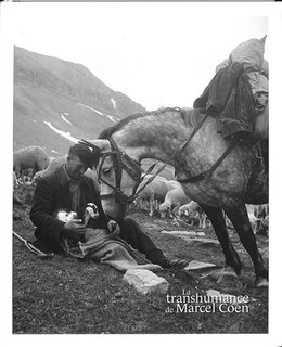 Front cover_La transhumance de Marcel Cohen : une manière d'habiter le monde