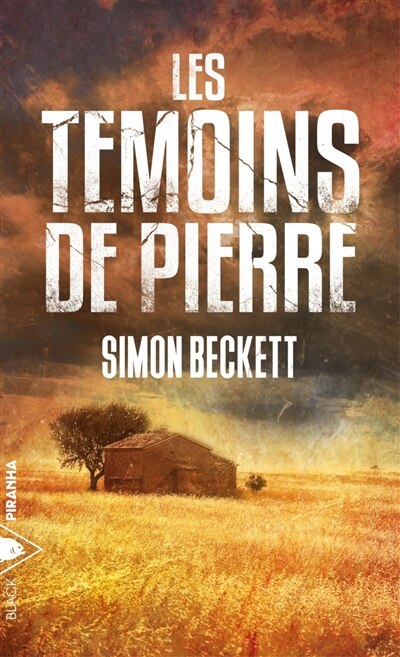 Couverture_Les témoins de pierre