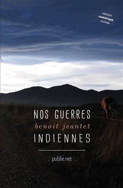 Couverture_Nos guerres indiennes
