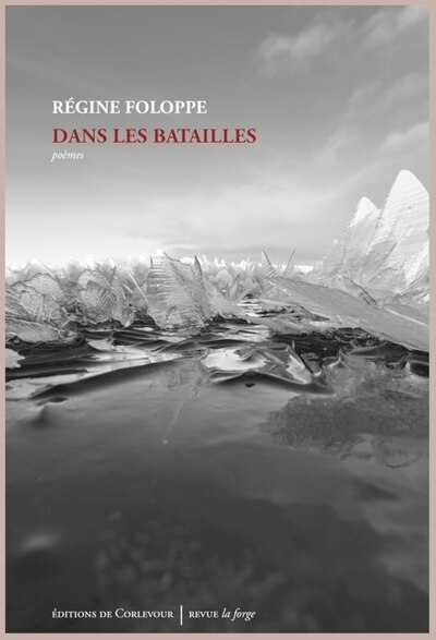 Couverture_Dans les batailles : poèmes