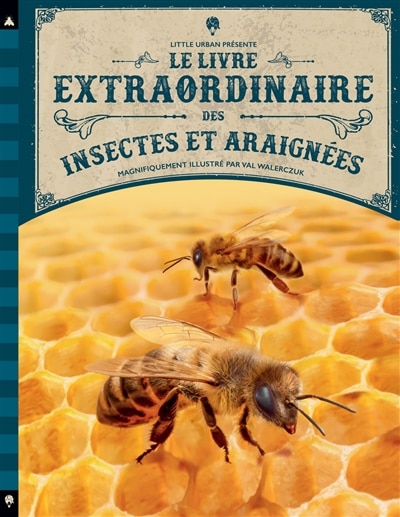 Couverture_Le livre extraordinaire des insectes et araignées