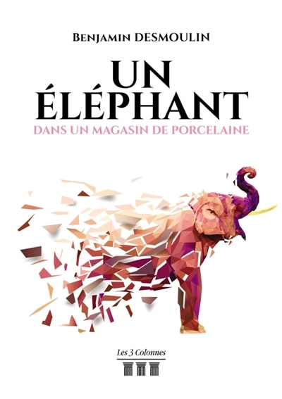 Couverture_Un éléphant dans un magasin de porcelaine