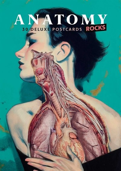 Front cover_Anatomy Rocks