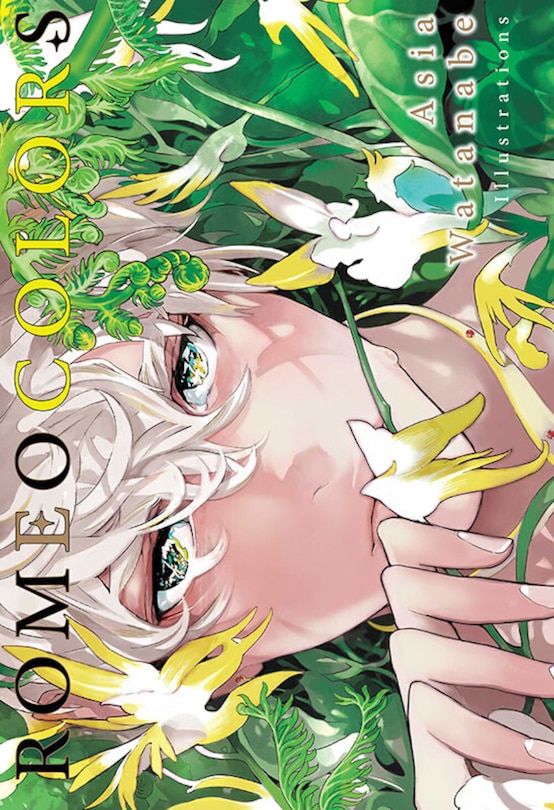 Front cover_Artbook Romeo colors