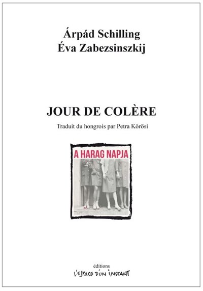 Front cover_Jour de colère ou Le chant d'un coeur stupide