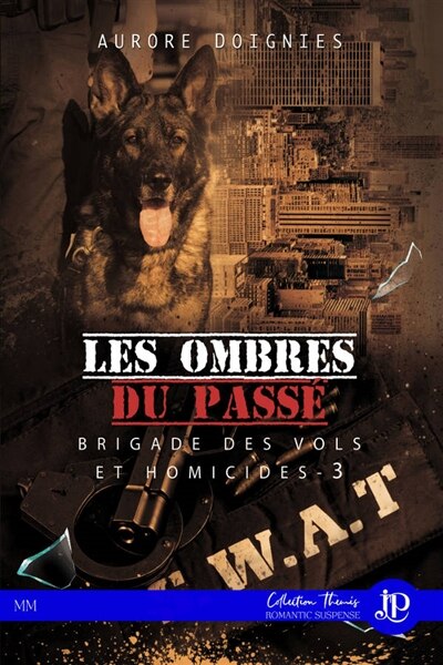 Couverture_Les ombres du passé