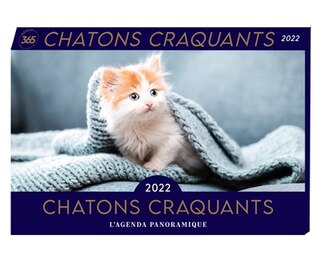 Chatons craquants 2022: l'agenda panoramique