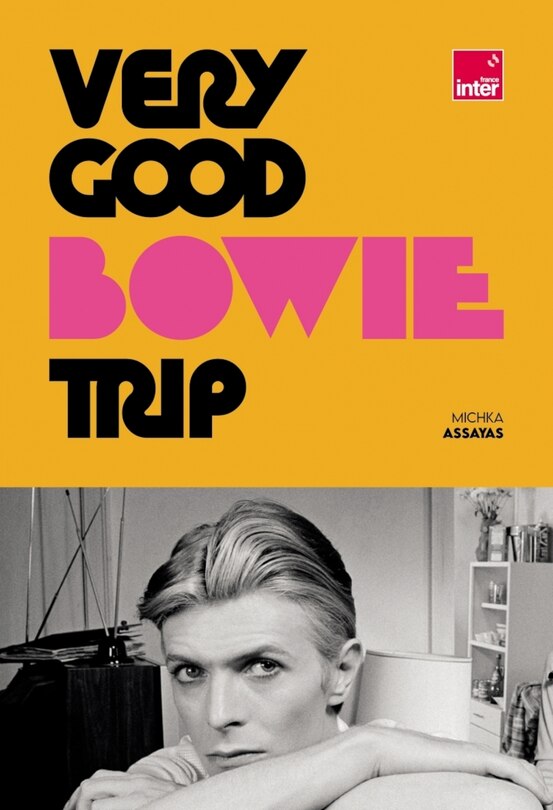 Front cover_Very Good Bowie Trip