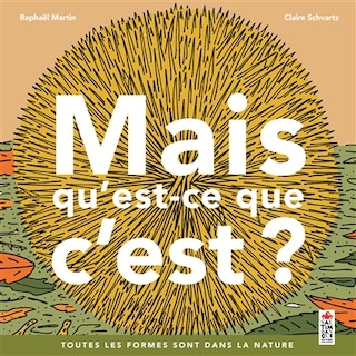 Couverture_Mais qu'est ce que c'est ?