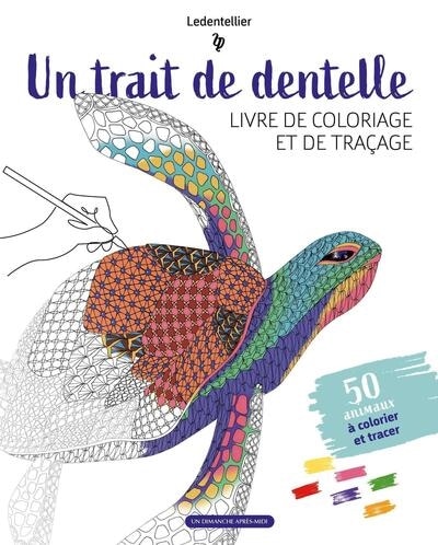 Couverture_Un trait de dentelle