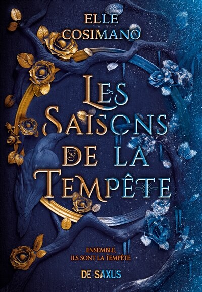 Couverture_Les saisons de la tempête