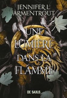 Couverture_UNE LUMIÈRE DANS LA FLAMME TOME 2 ÉDITION BROCHÉE