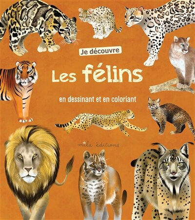 Couverture_Je découvre les félins en dessinant et en coloriant