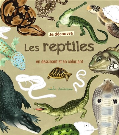 Couverture_Je découvre les reptiles en dessinant et en coloriant