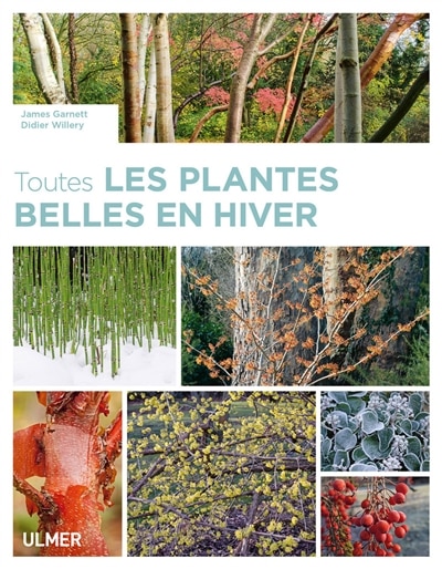 Front cover_Toutes les plantes belles en hiver