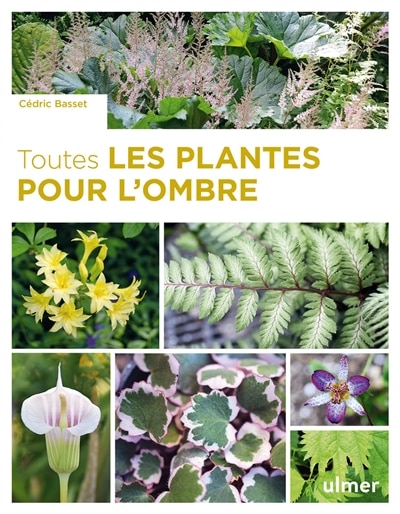 Couverture_Toutes les plantes pour l'ombre