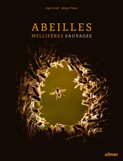Front cover_Abeilles mellif&egrave;res sauvages