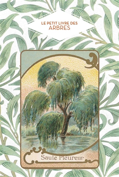 Couverture_Le petit livre des arbres