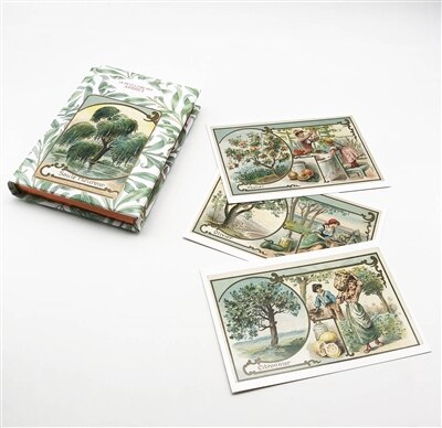 Couverture_Petit livre des arbres + cartes postales