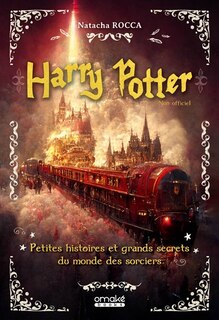 Couverture_Harry Potter non officiel